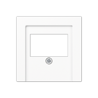 Centre plate for loudspeaker socket