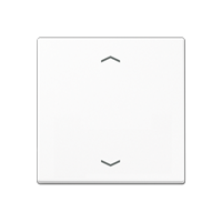 1-gang rocker for push-button BCU, with symbols