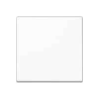 1-gang rocker for push-button BCU