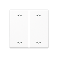 2-gang rocker for push-button BCU neutral position, with symbols