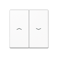 2-gang rocker for push-button BCU switch position, with symbols