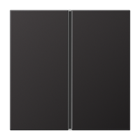 dark (aluminium lacquered)