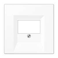 Centre plate for loudspeaker socket