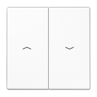 2-gang rocker for push-button BCU switch position, with symbols