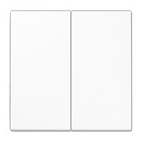 2-gang rocker for push-button BCU