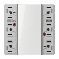 Standard push-button module